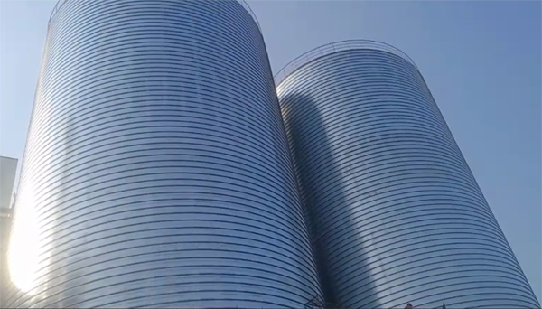 抚松2座混凝土高架卷板仓